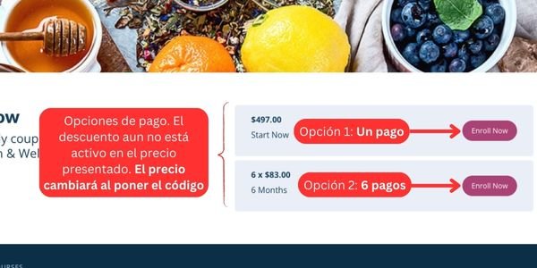 Página para seleccionar la forma de pago del curso